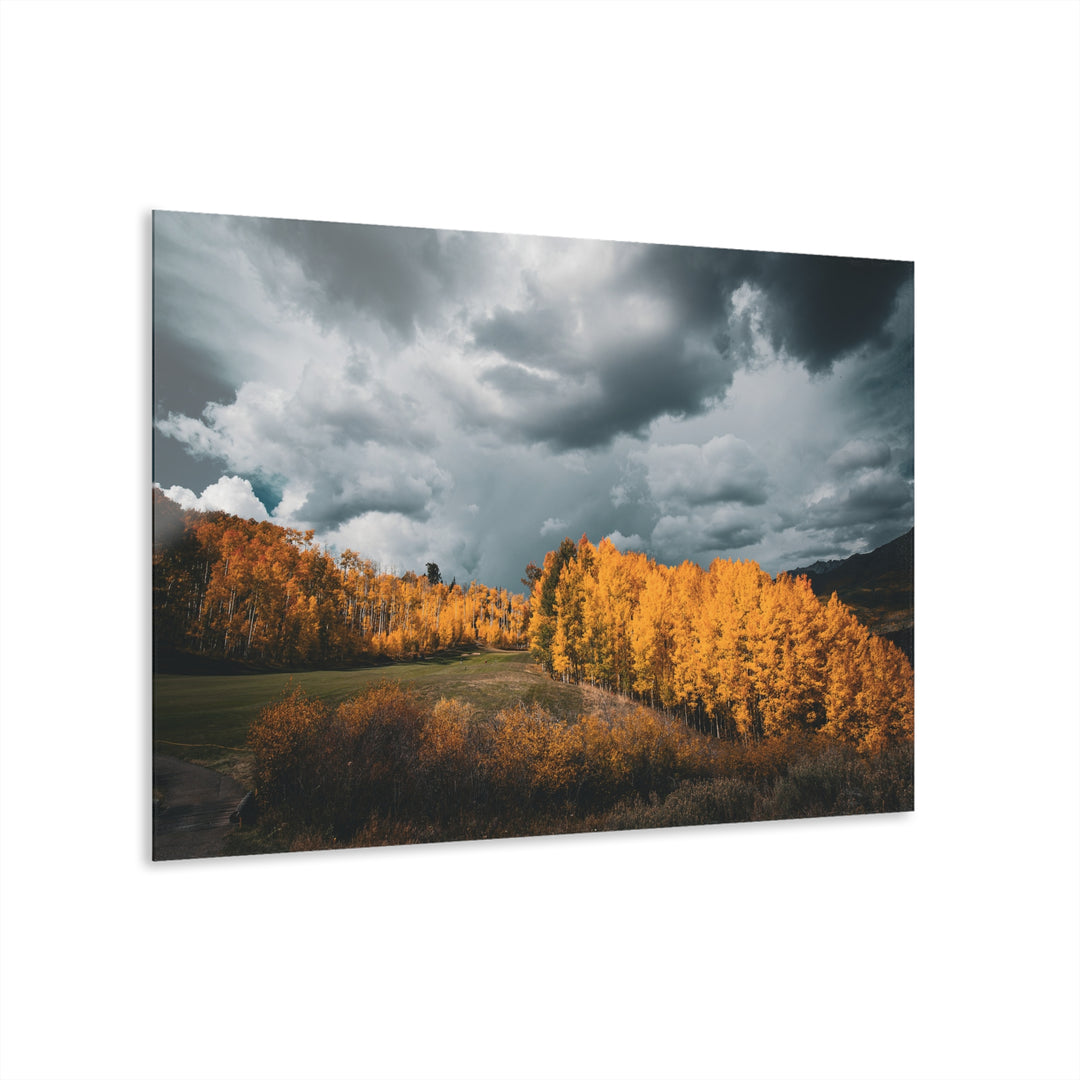 Courage | Acrylic Wall Art Print | Elemental Escape Collection