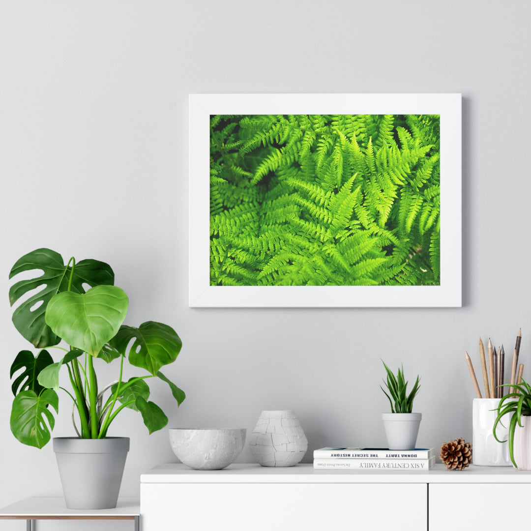 Ferns, Ferns, Ferns - Framed Print
