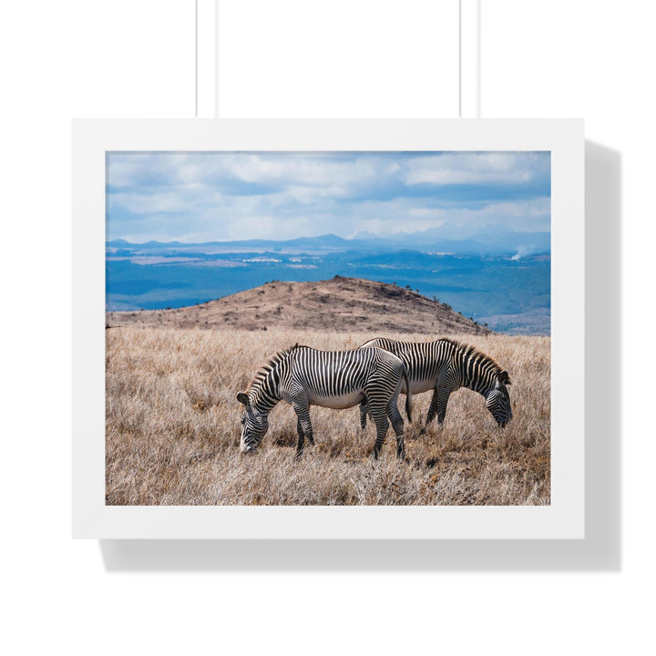 Zebra-Striped Expanse - Framed Print