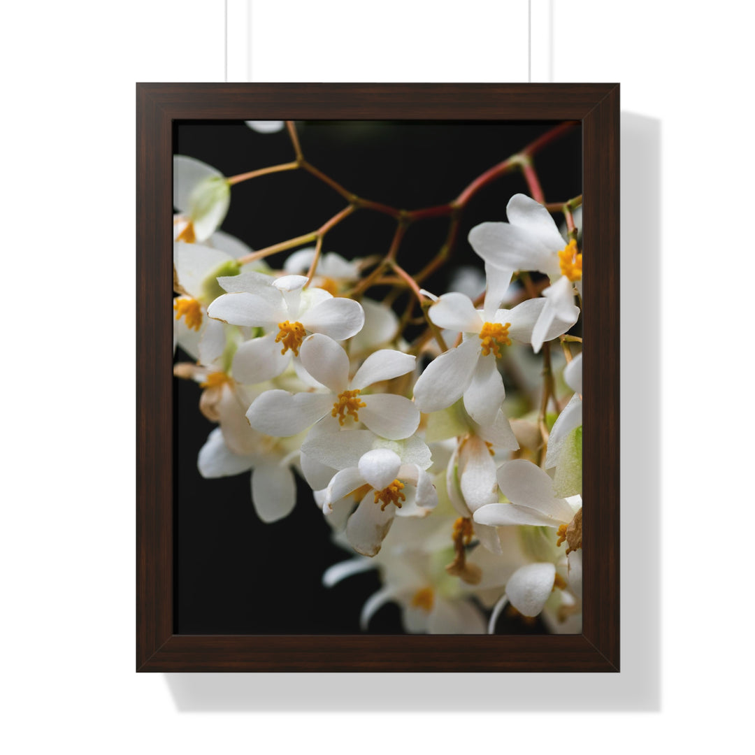 Floral Network - Framed Print