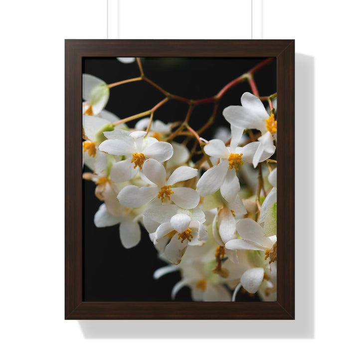 Floral Network - Framed Print