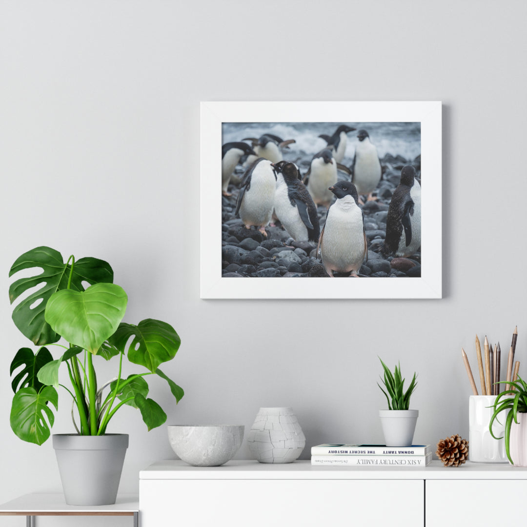 Drying Out - Framed Print