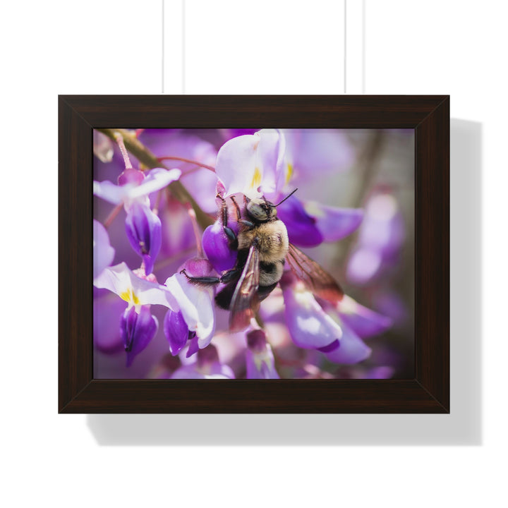 Hungry Visitor - Framed Print