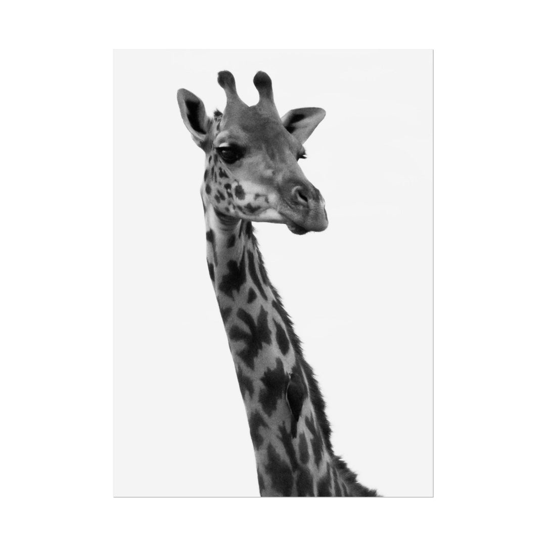Giraffe Portrait in Black and White | Rolled Unframed Print | Elemental Escape Collection