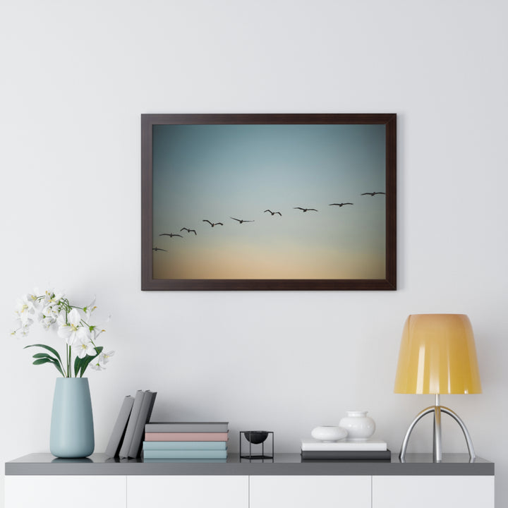 Brown Pelicans in Flight - Framed Print