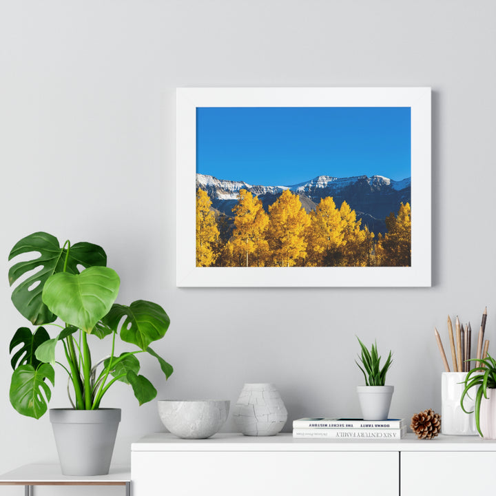 Golden Glow - Framed Print