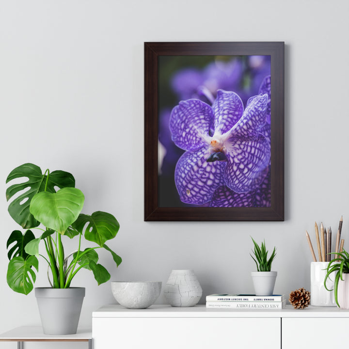 Orchid Detail - Framed Print