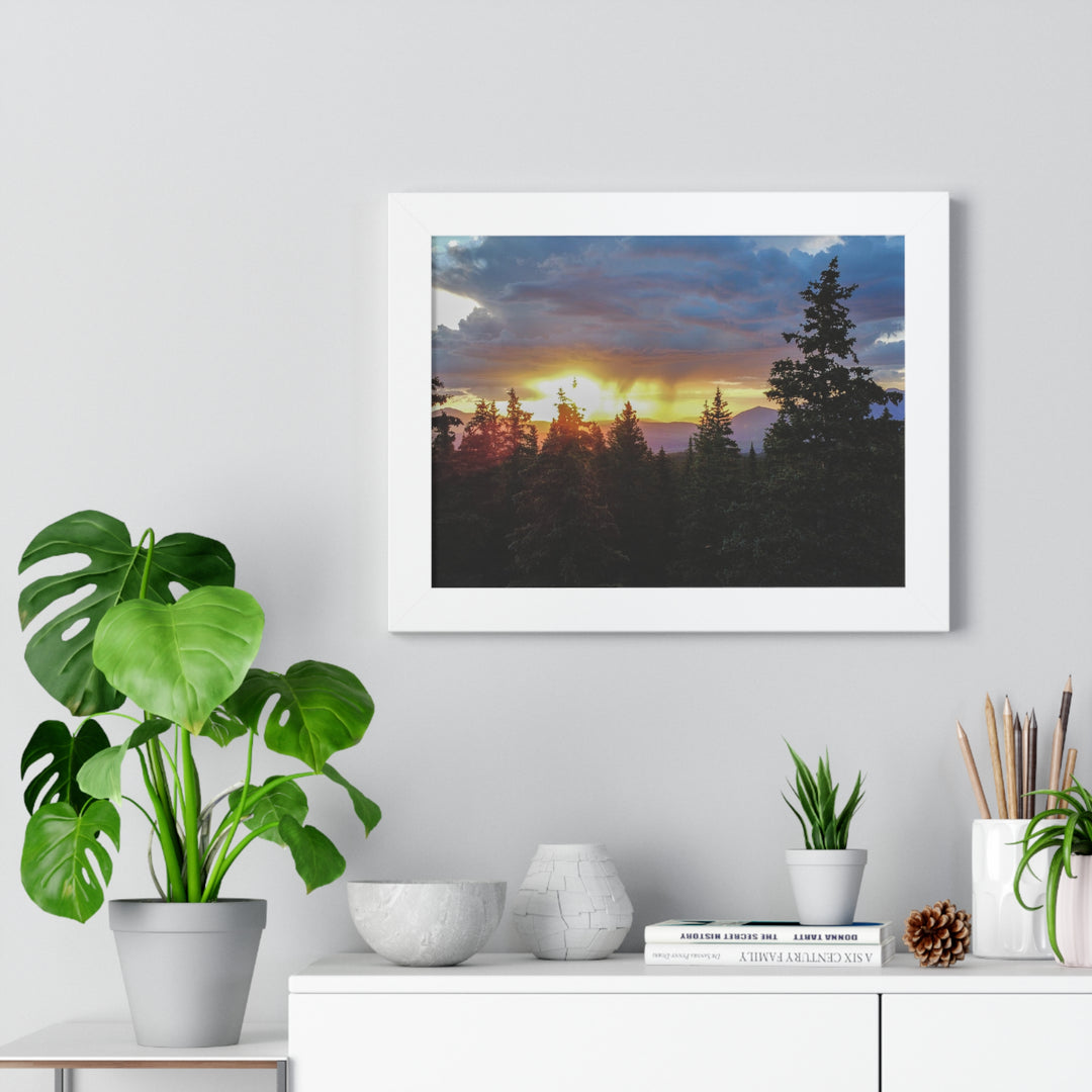 Rainy Sunset Through the Trees - Framed Print