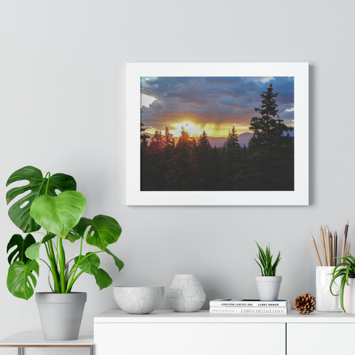 Rainy Sunset Through the Trees - Framed Print