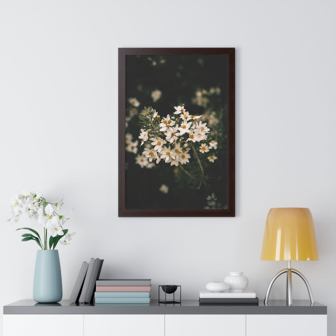 A Touch of White - Framed Print