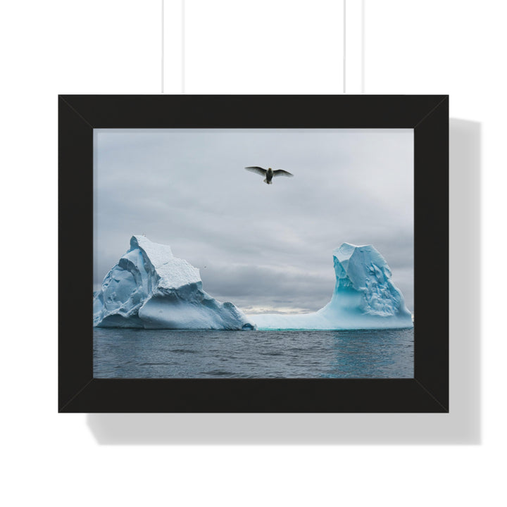 Antarctic Flight - Framed Print