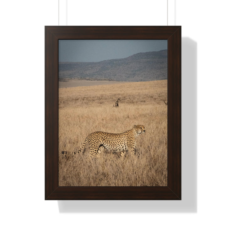 Regal Camouflage  - Framed Print