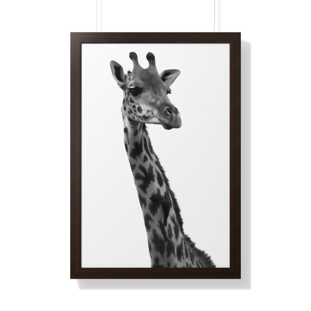 Giraffe Portrait in Black and White - Framed Print