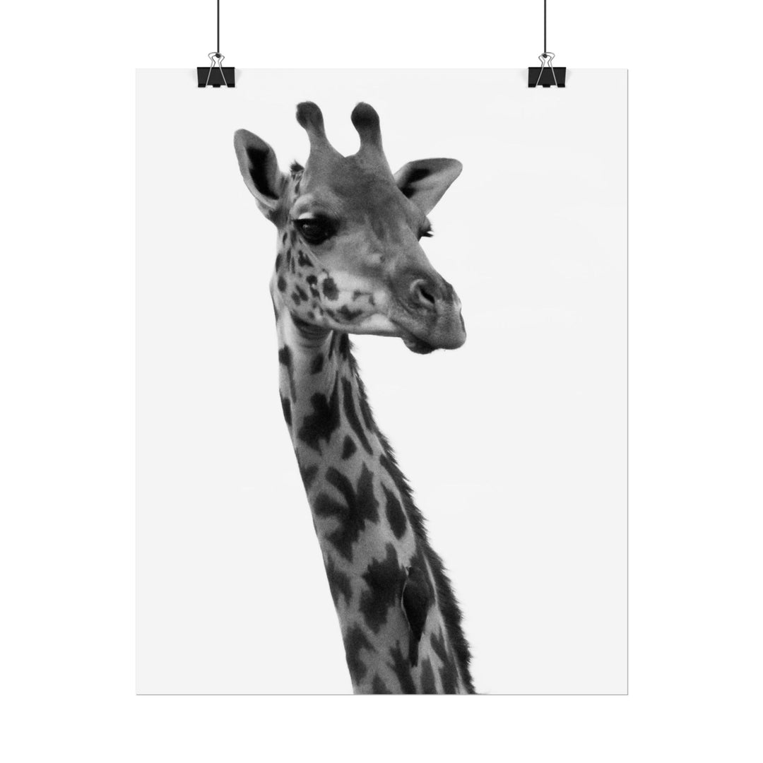 Giraffe Portrait in Black and White | Rolled Unframed Print | Elemental Escape Collection