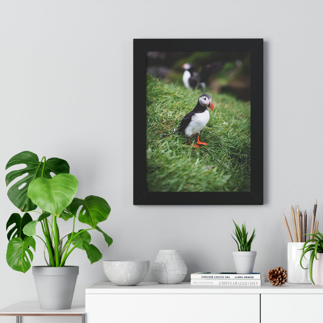 Curious Look - Framed Print