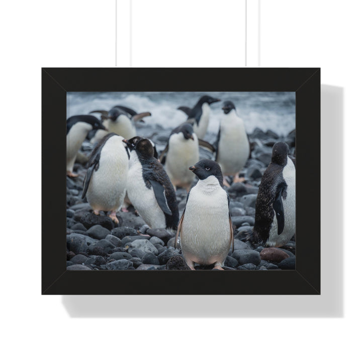 Drying Out - Framed Print