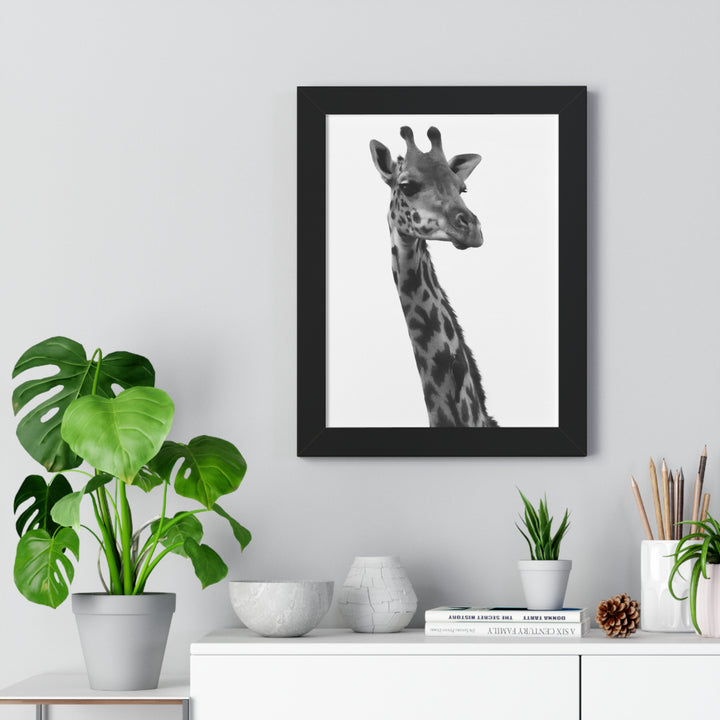 Giraffe Portrait in Black and White - Framed Print