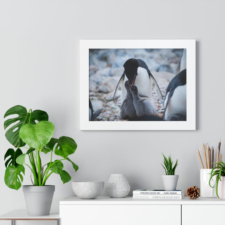 Feeding Time - Framed Print