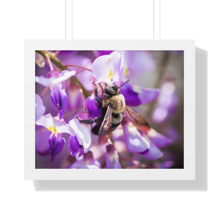 Hungry Visitor - Framed Print