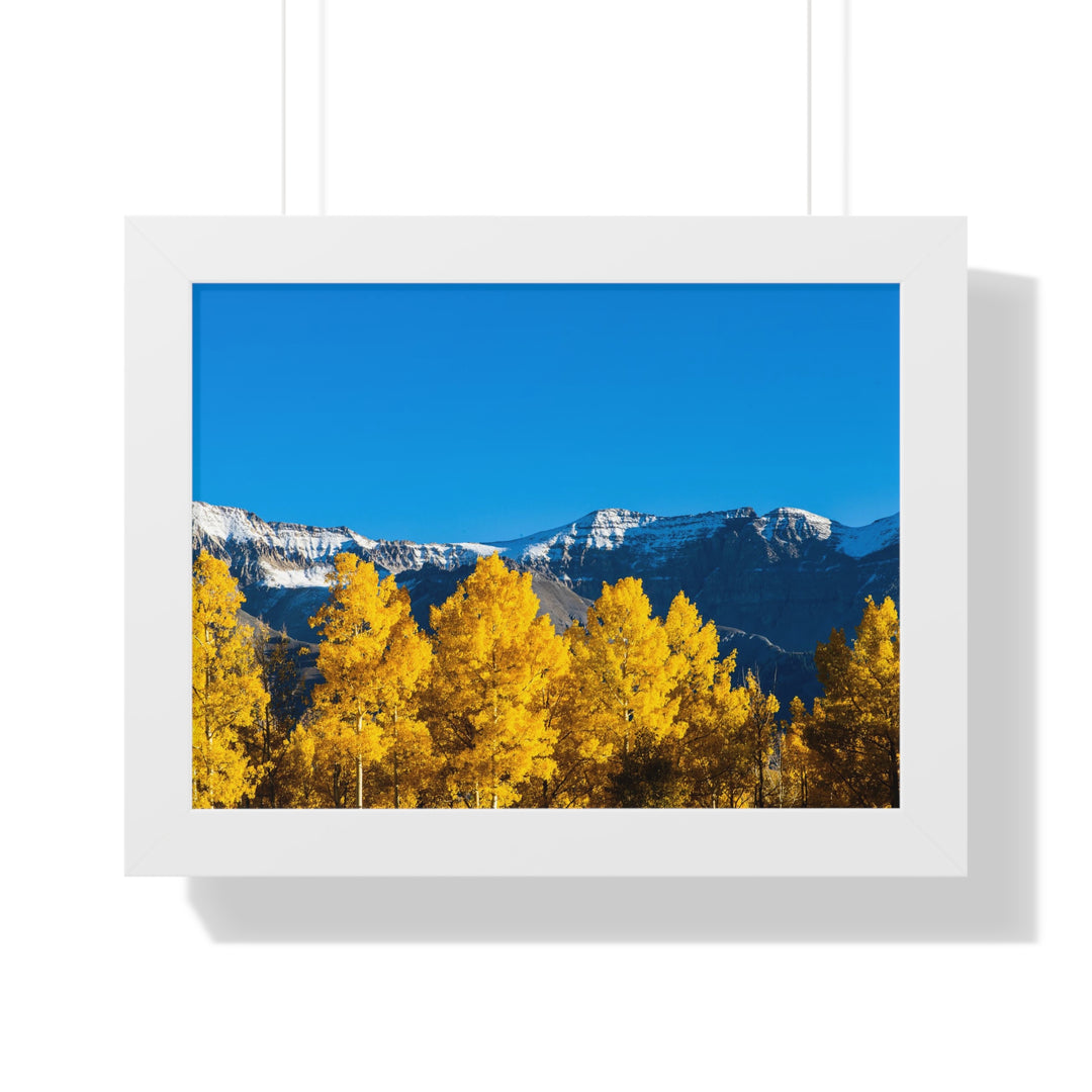 Golden Glow - Framed Print