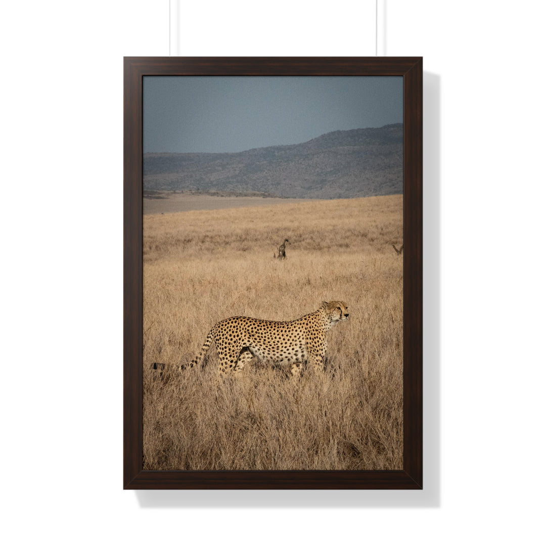 Regal Camouflage  - Framed Print