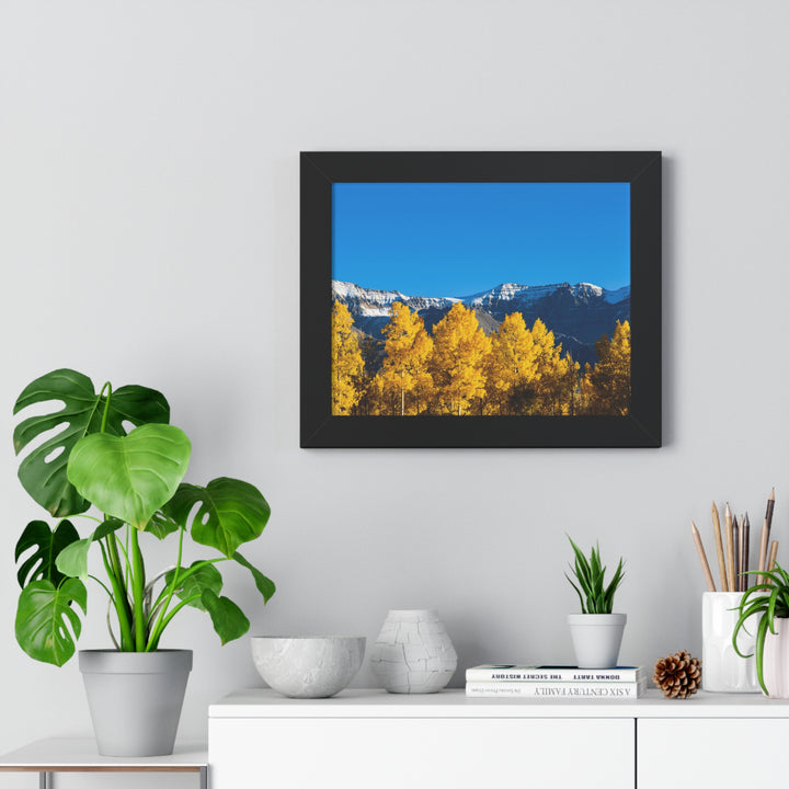 Golden Glow - Framed Print