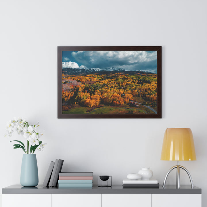 Golds of Autumn - Framed Print