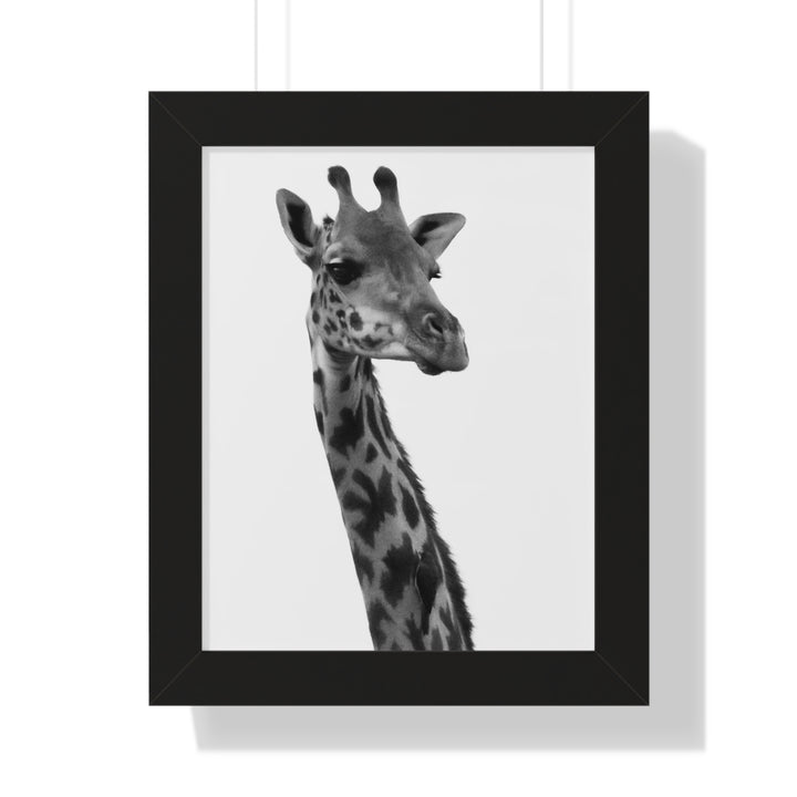 Giraffe Portrait in Black and White - Framed Print