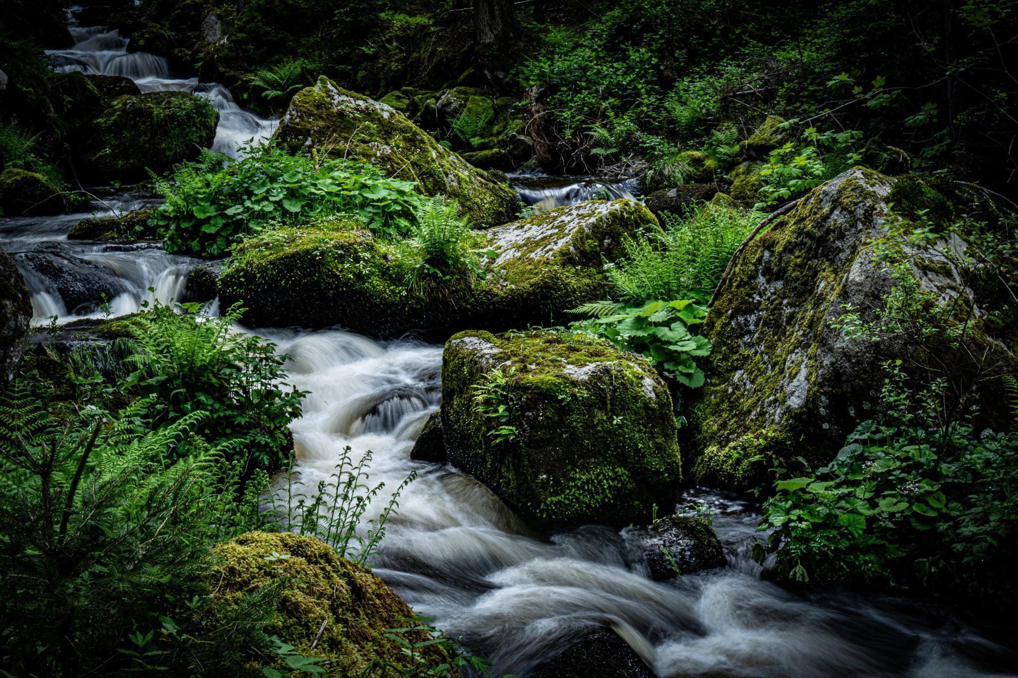 This World | Landscape Photography Prints by Christina Trester