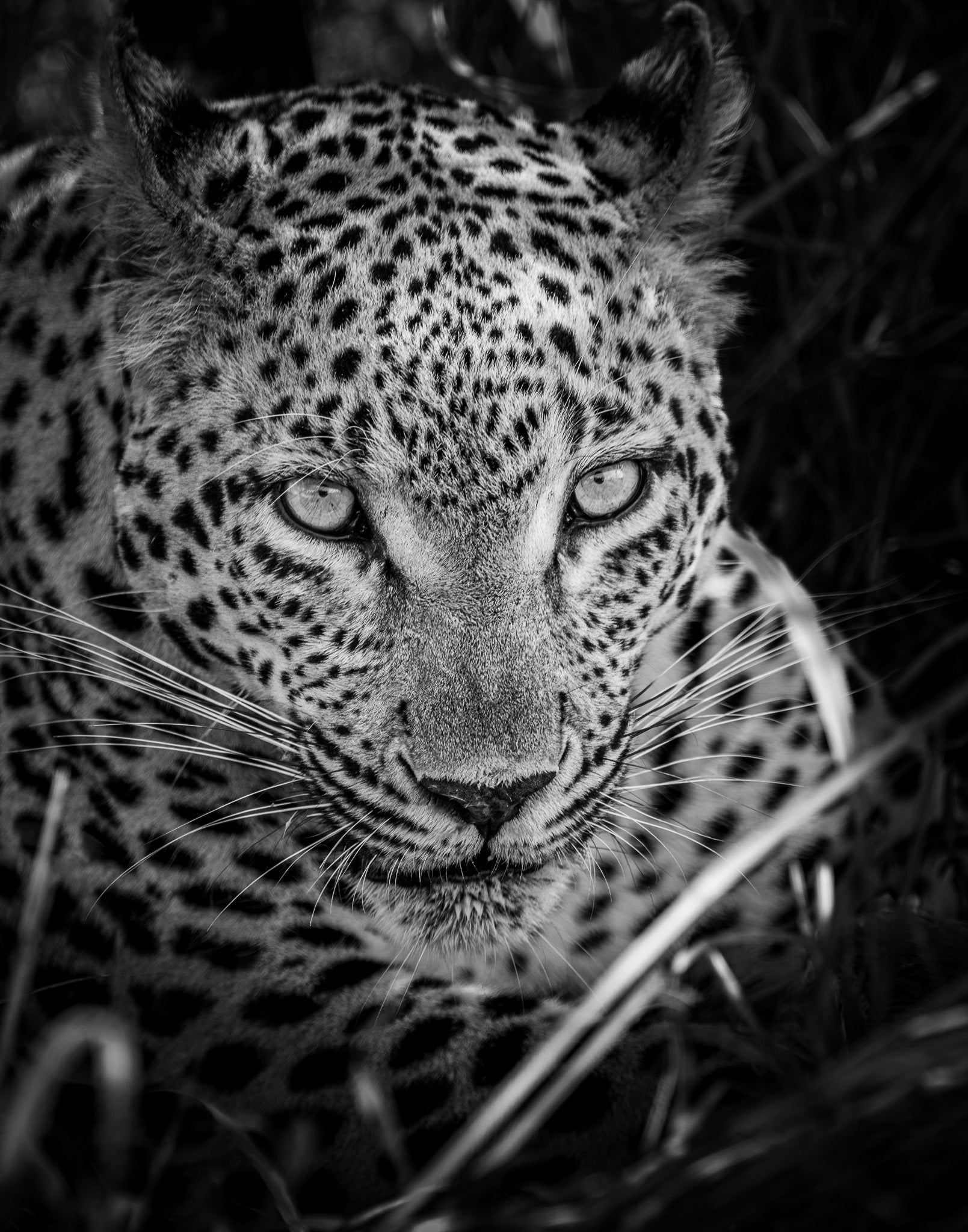 I. Possession - Visiting This World