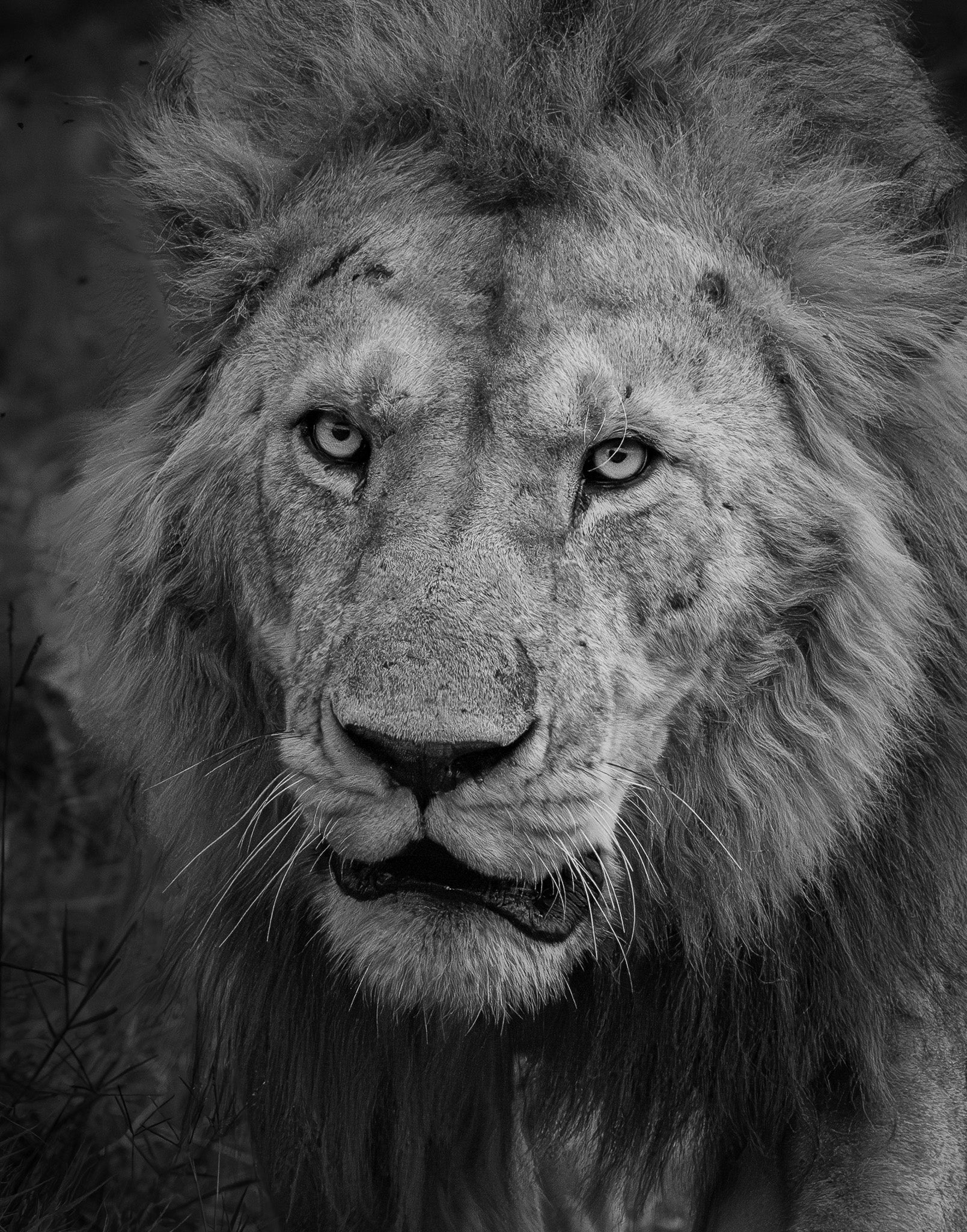 IV. Intention - Visiting This World