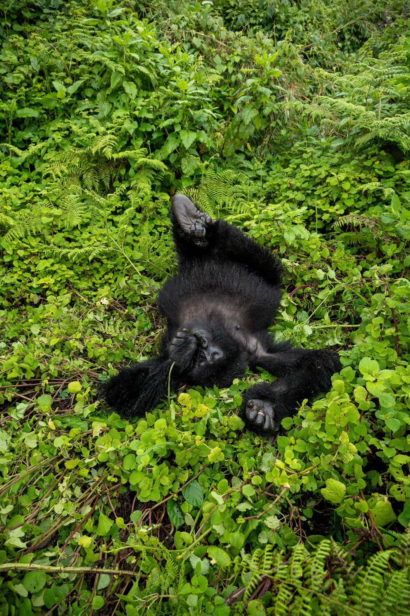 Nowhere to Be - Visiting This World