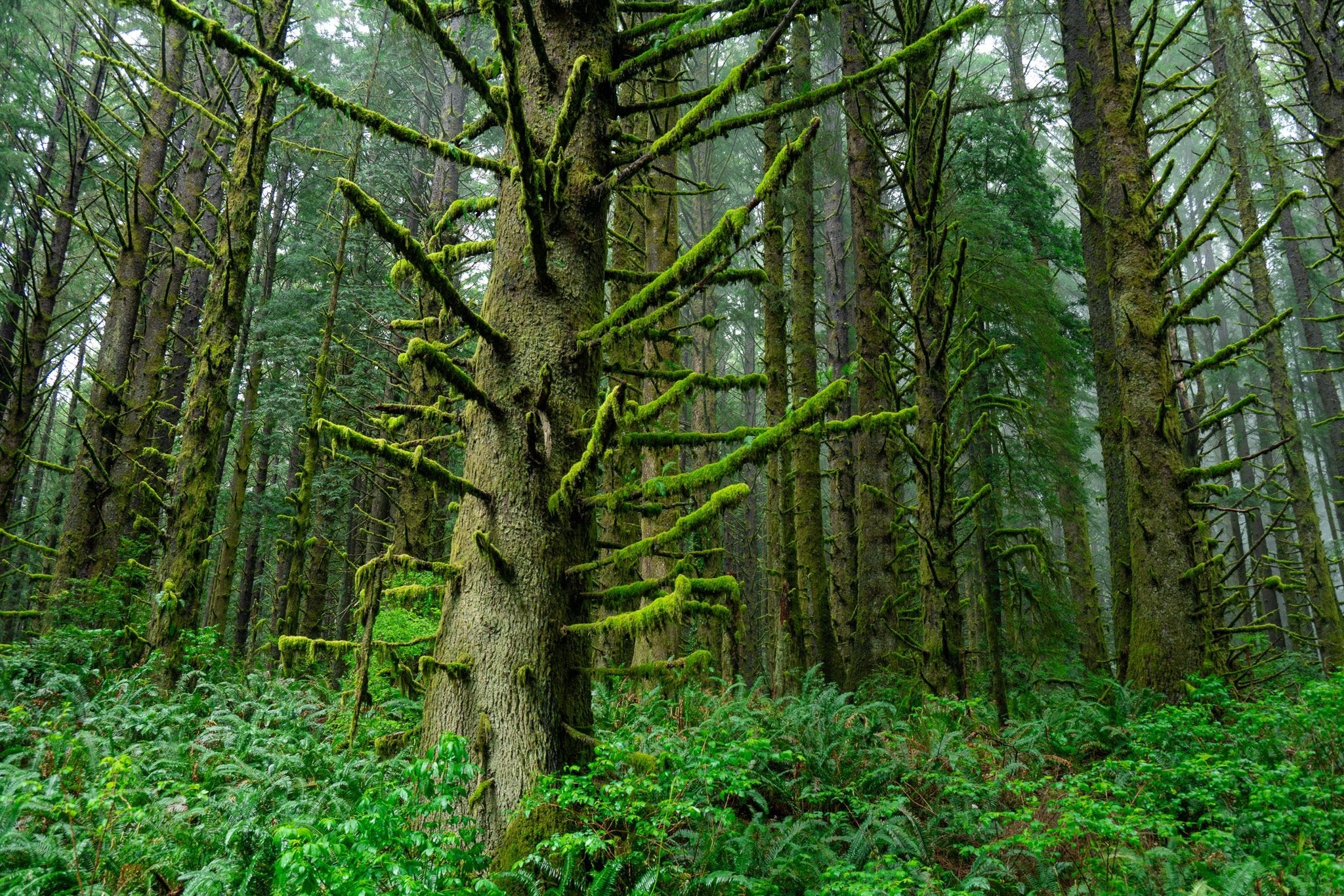 Pull Over - Visiting This World