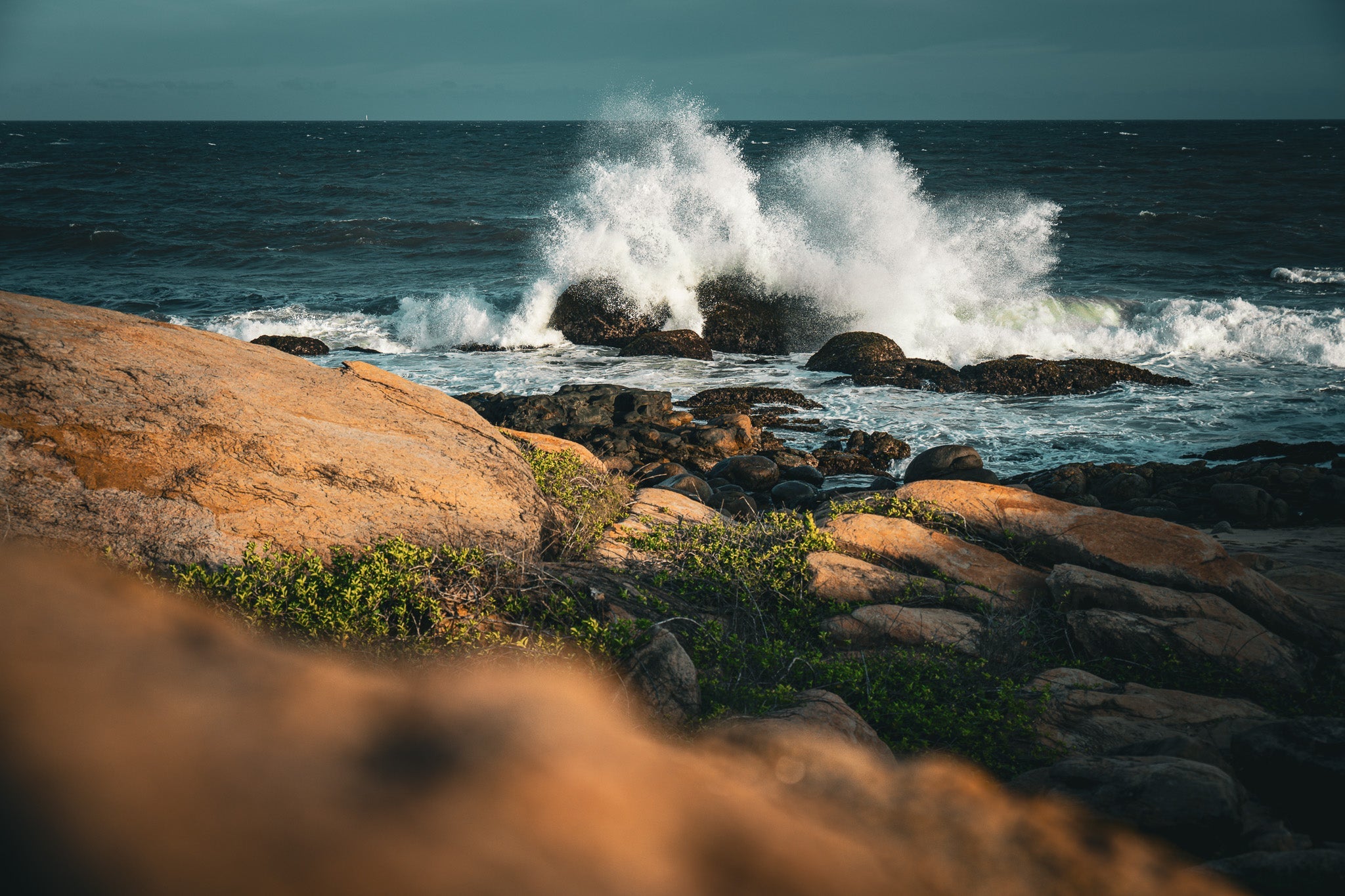 Resilience - Visiting This World