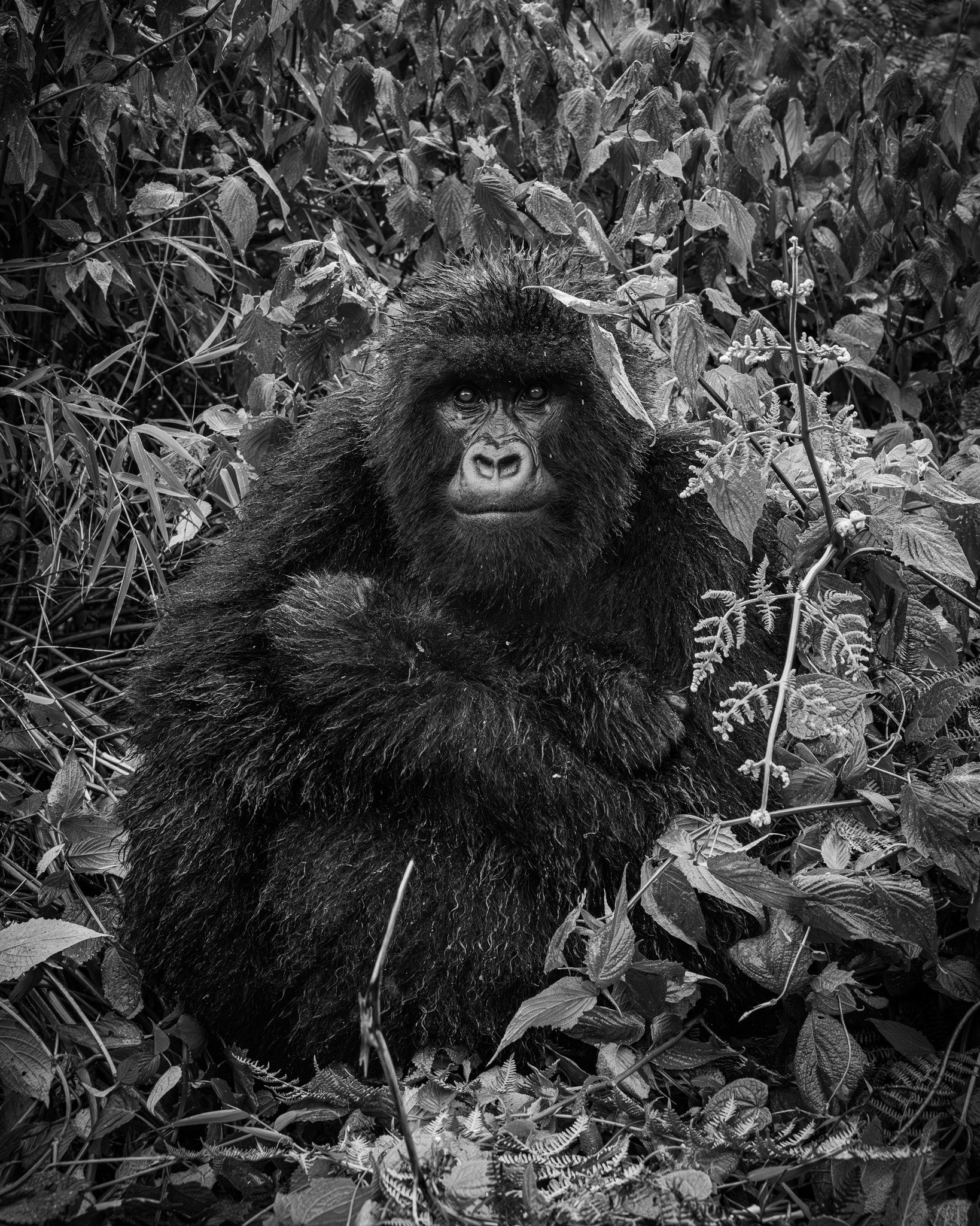 She Waits - Visiting This World