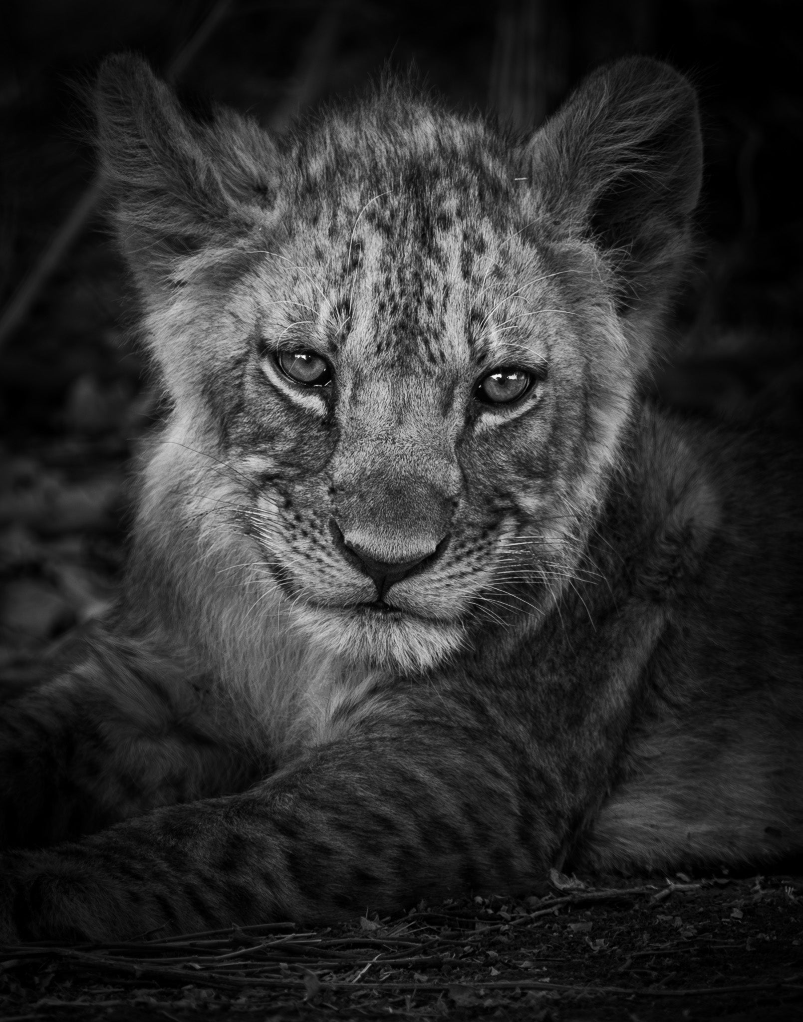 VI. Mischief - Visiting This World