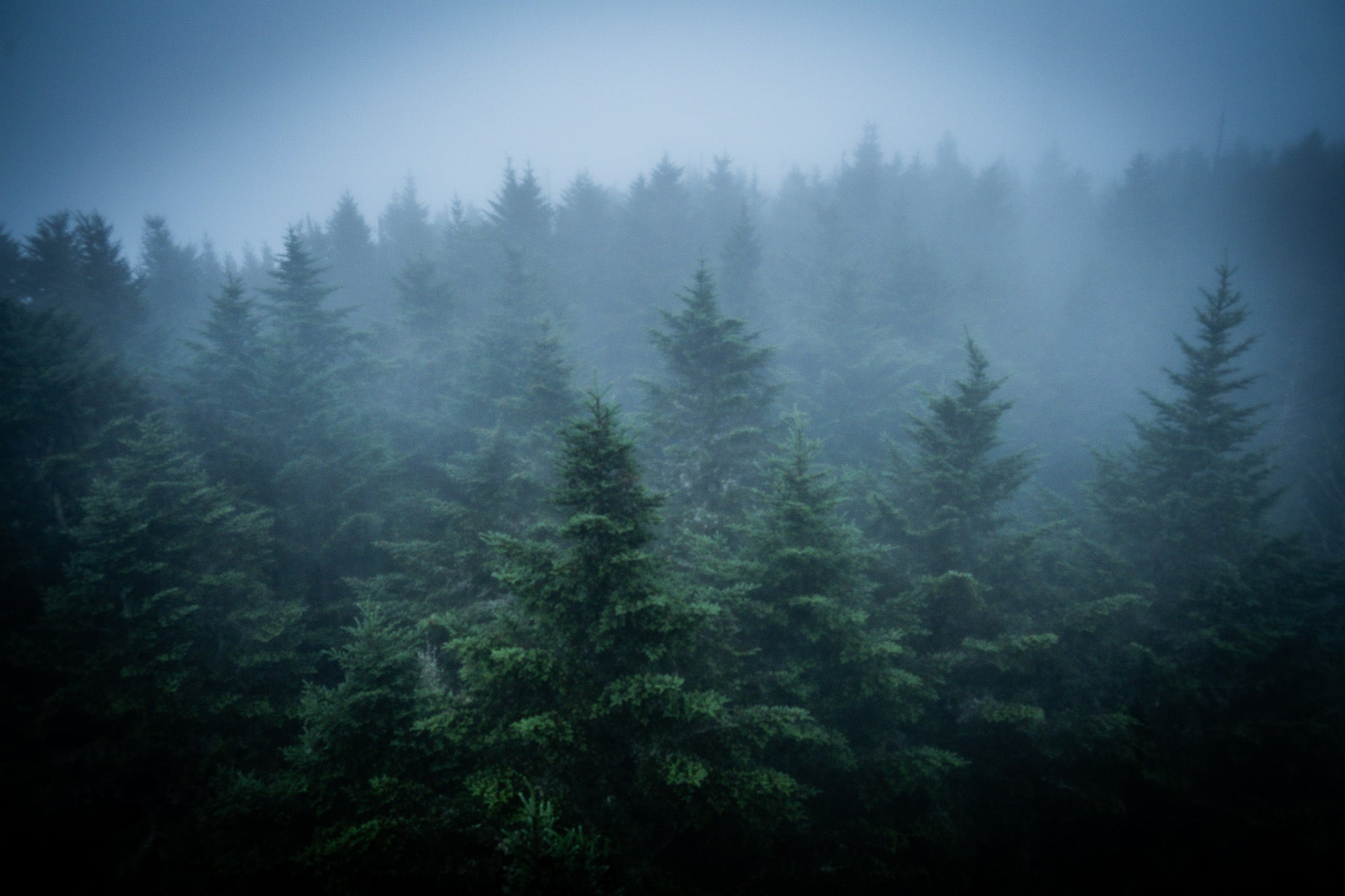 What I Could Make Out - Visiting This World