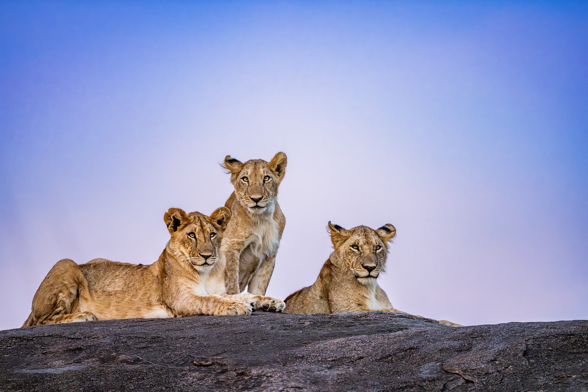 When the Light Fades - Visiting This World