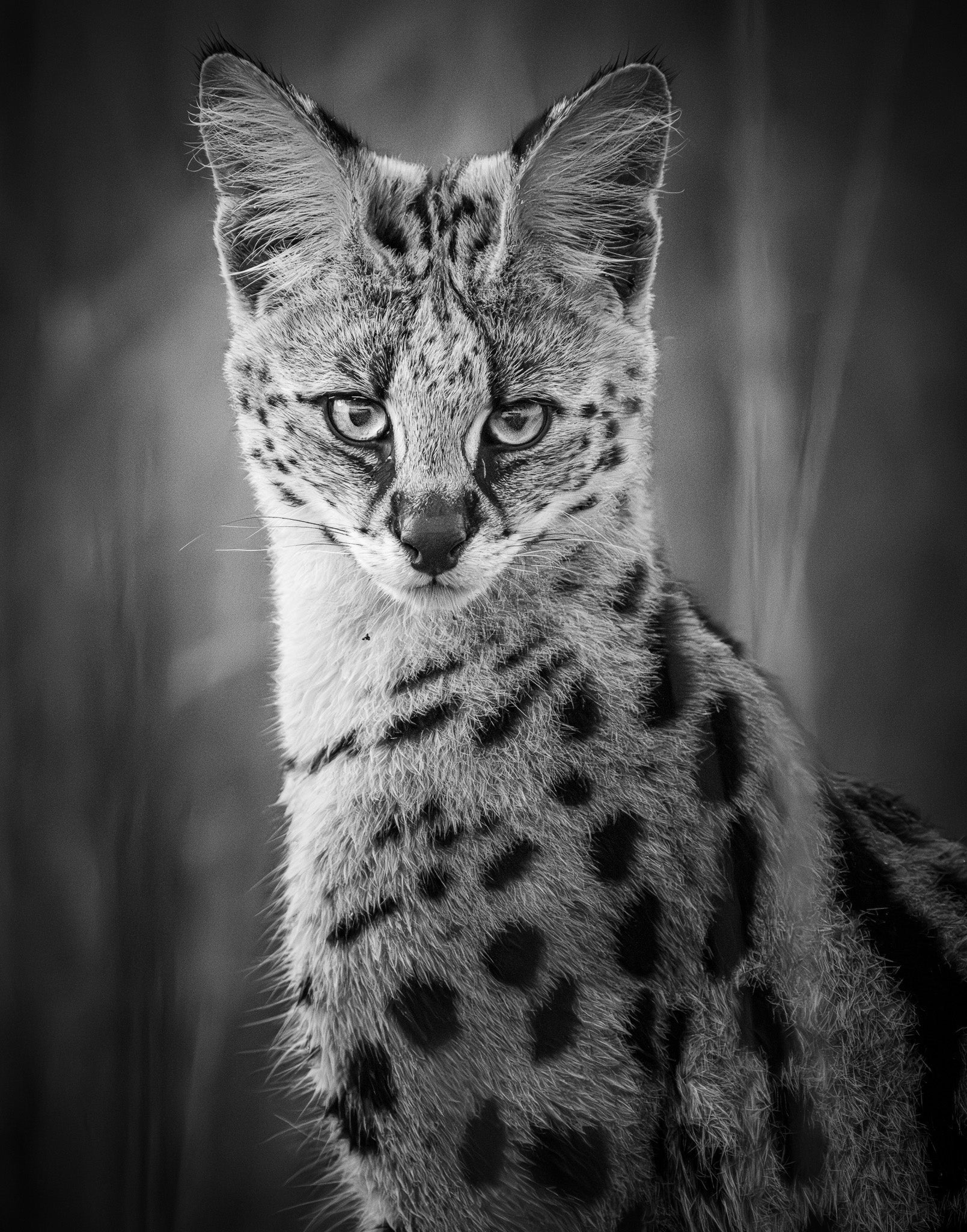 XIV. Sovereignty - Visiting This World