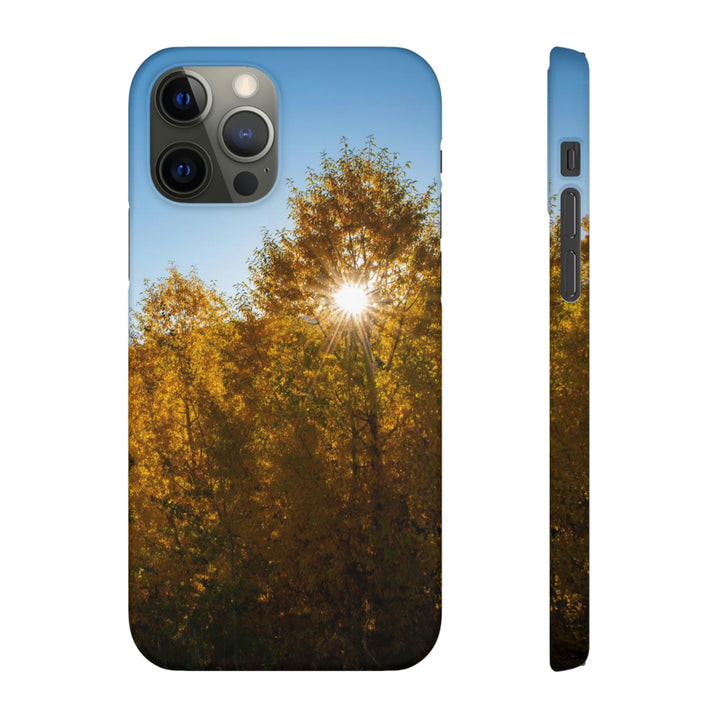 Sun Through the Aspens - Phone Case