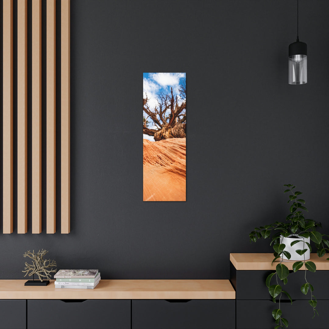 Desert Reach - Canvas