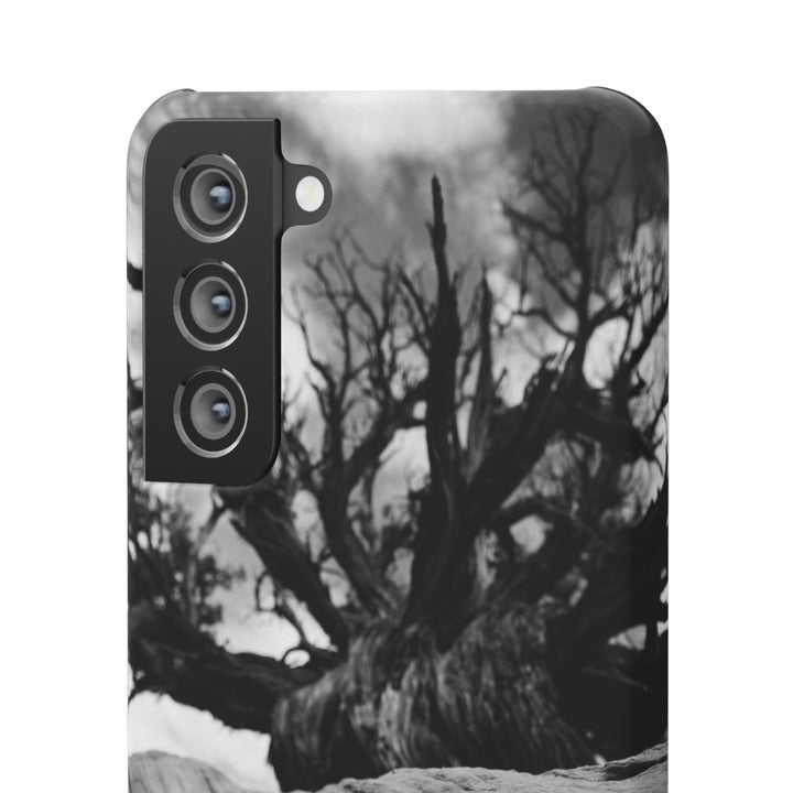 Desert Reach in Black and White - Phone Case