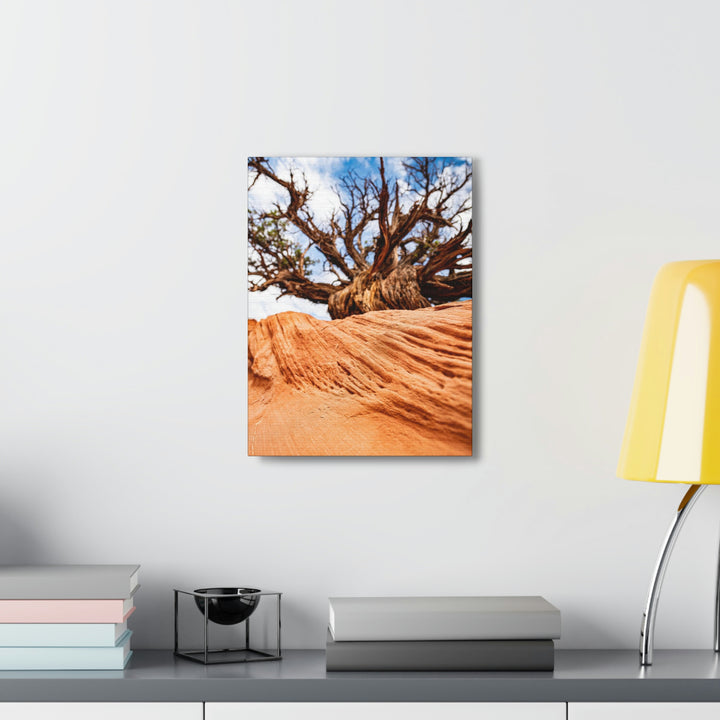 Desert Reach - Canvas