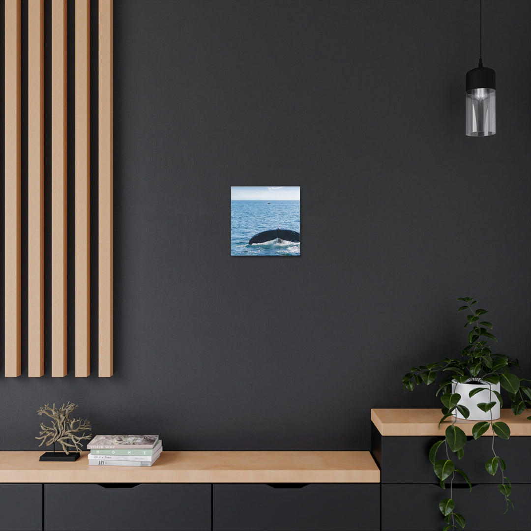 A Whale and A Mountain - Canvas