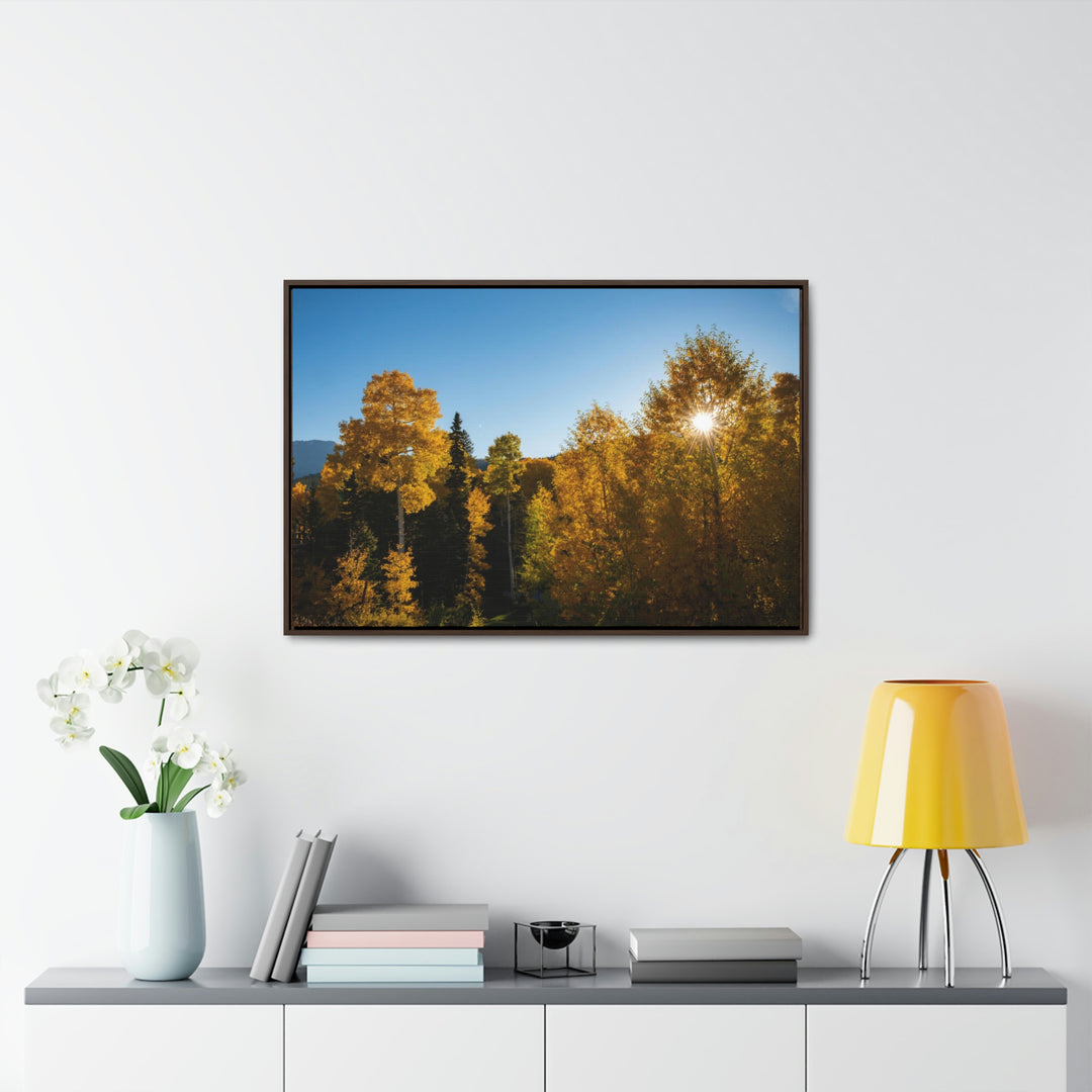 Sun Through the Aspens - Canvas with Frame