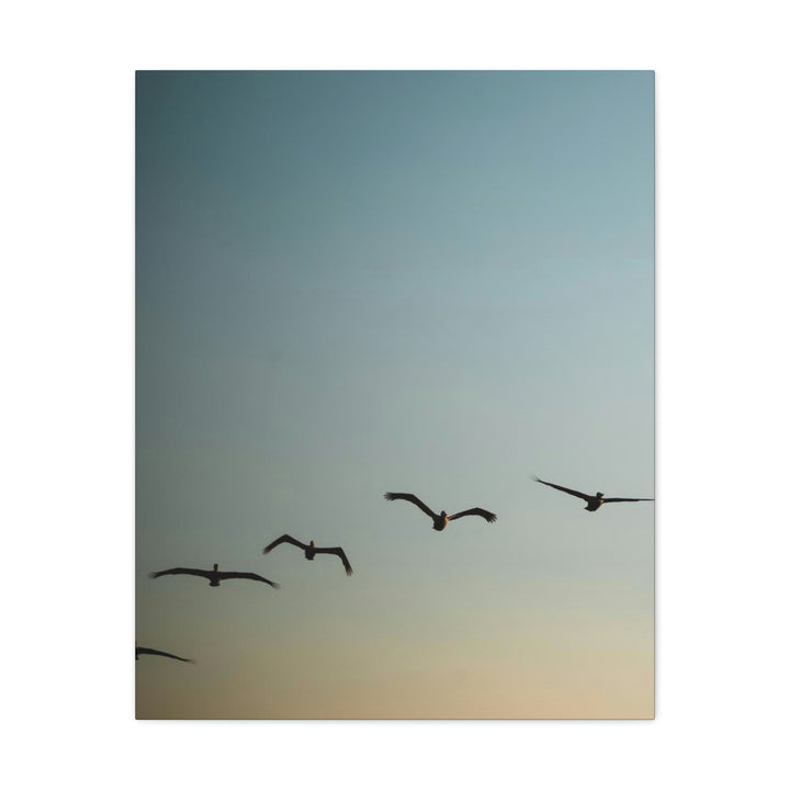 Brown Pelicans in Flight - Canvas