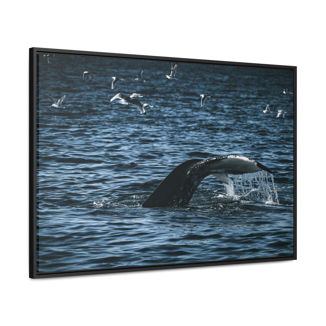 Feeding Tail - Canvas with Frame