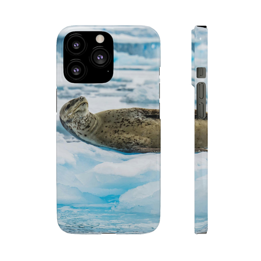 Leopard Seal Relaxing - Phone Case