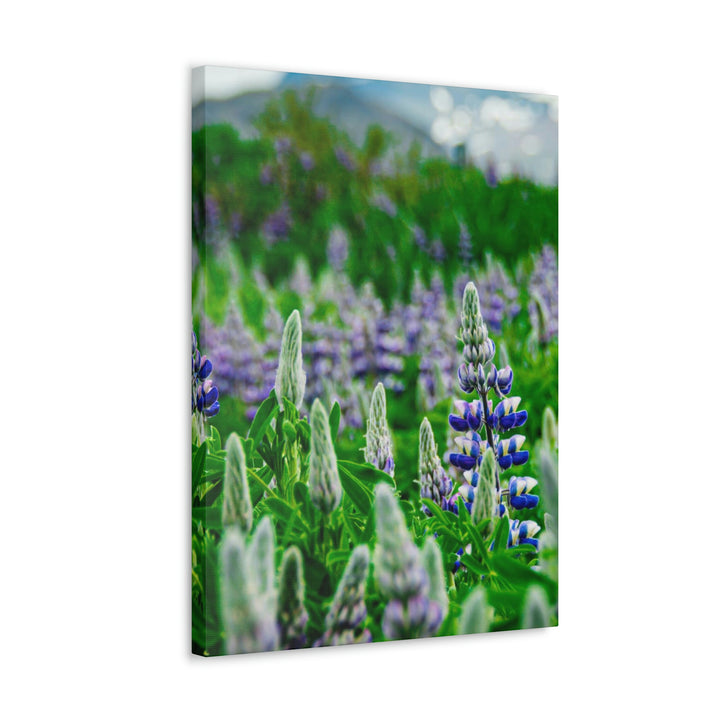 Glowing Lupin with Mountains - Canvas