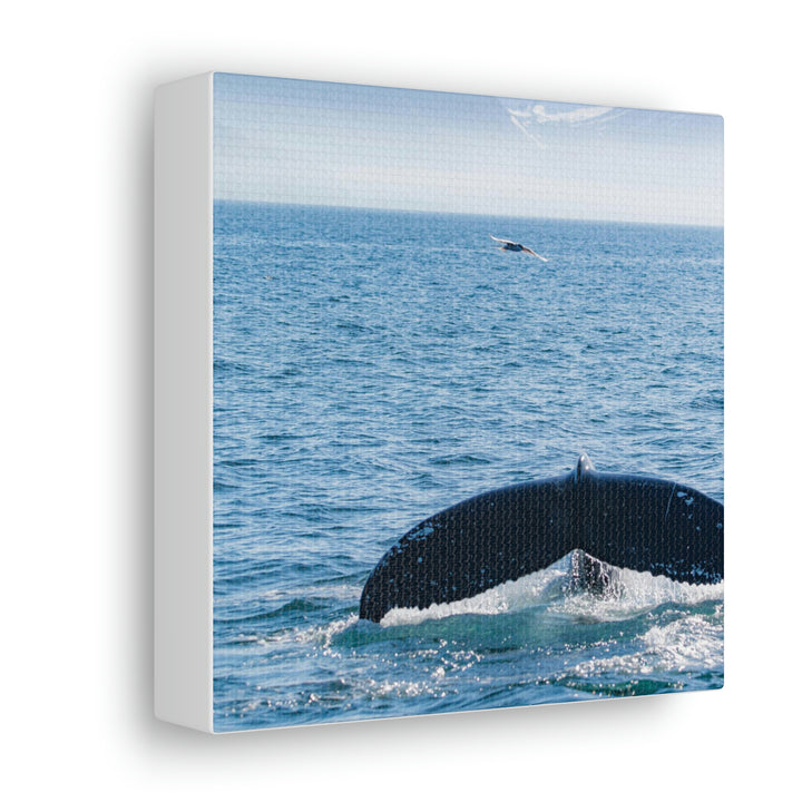 A Whale and A Mountain - Canvas